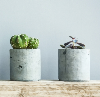 Blumentopf "Grünschnabel"